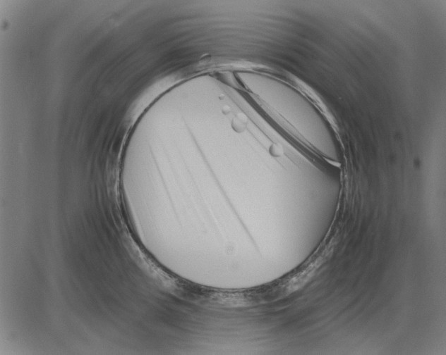 X0000083661194200703121803