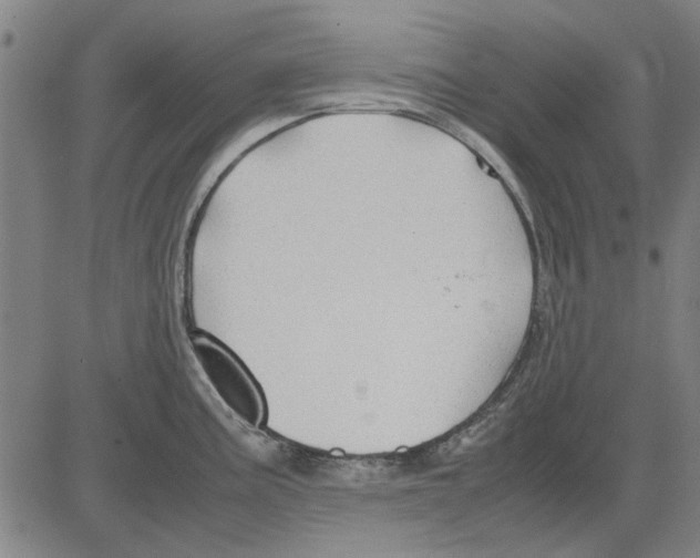 X0000083661195200703121803