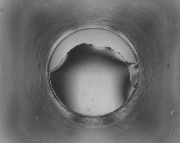 X0000083661197200703121803