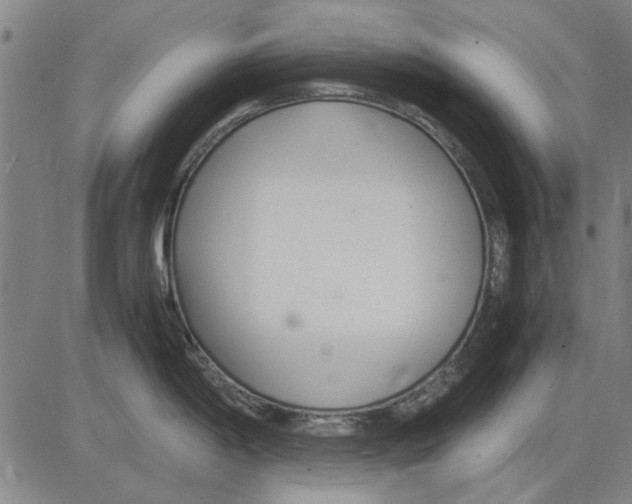 X0000083661198200703121803