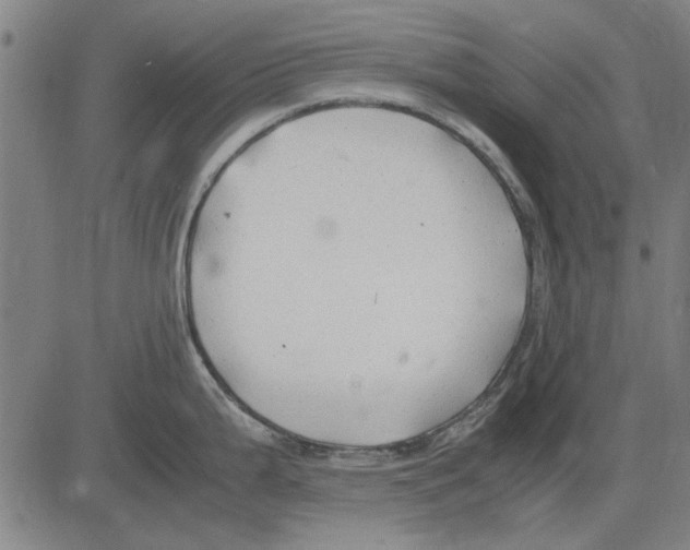 X0000083661199200703121803