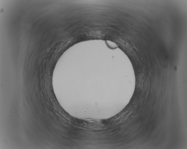 X0000083661201200703121802