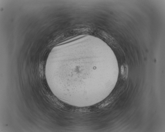 X0000083661203200703121802