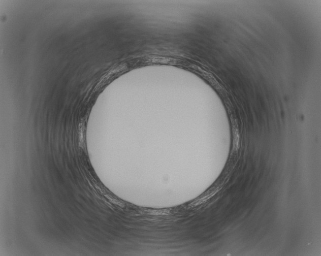 X0000083661204200703121802