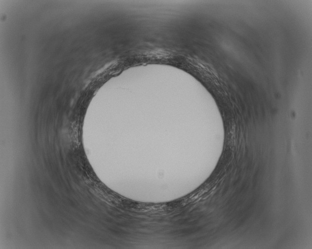 X0000083661205200703121802