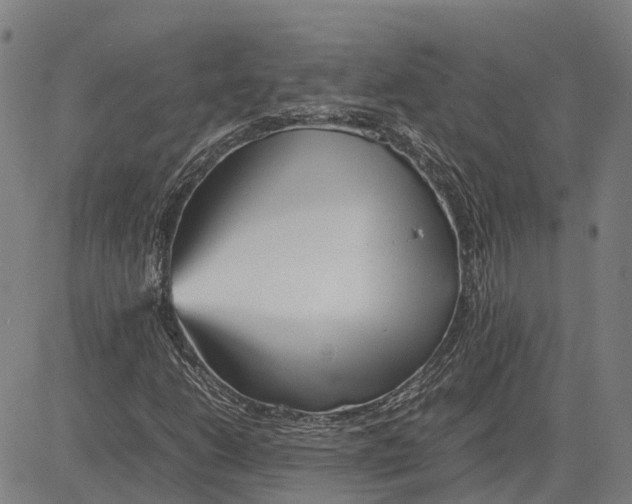 X0000083661206200703121802