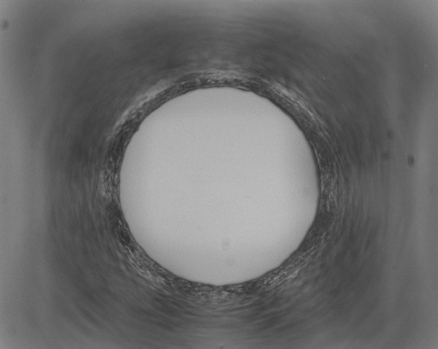 X0000083661207200703121802