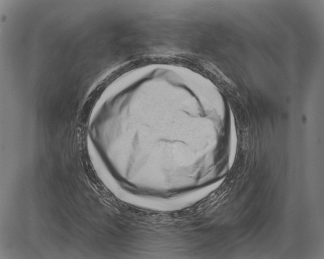 X0000083661208200703121802