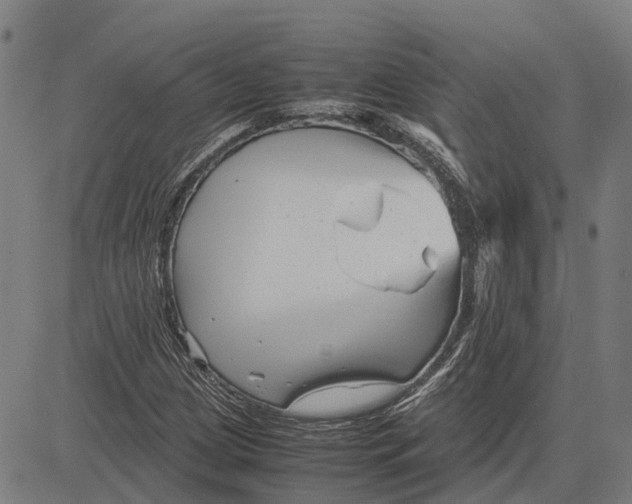 X0000083661209200703121802