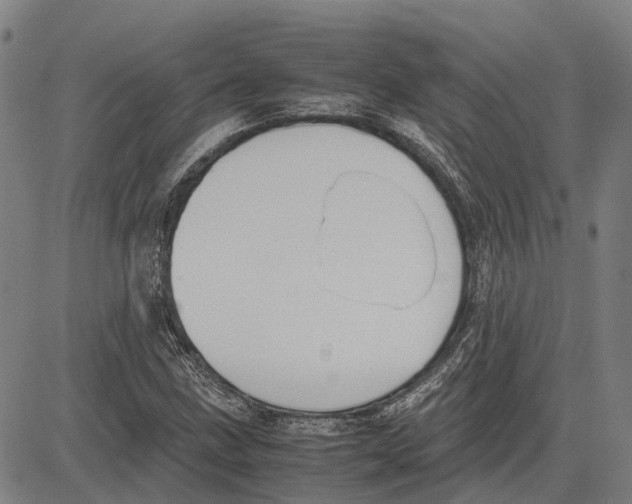 X0000083661211200703121802