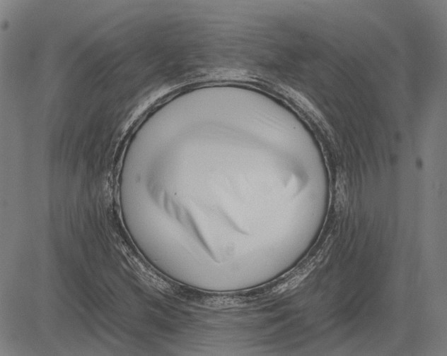 X0000083661212200703121802