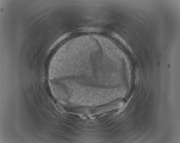 X0000083661213200703121803