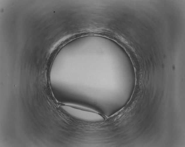 X0000083661214200703121803