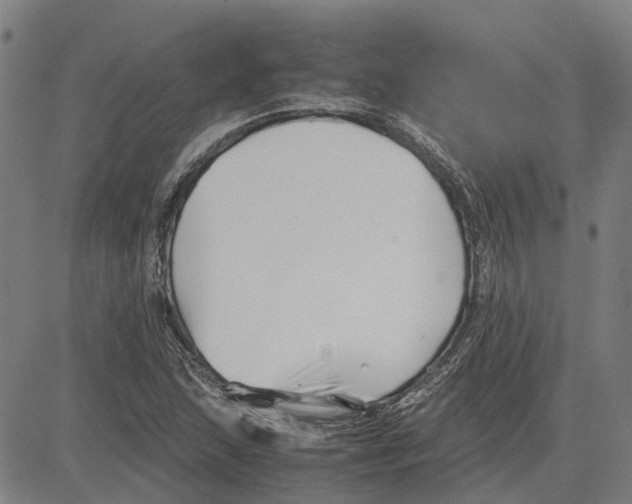 X0000083661215200703121803