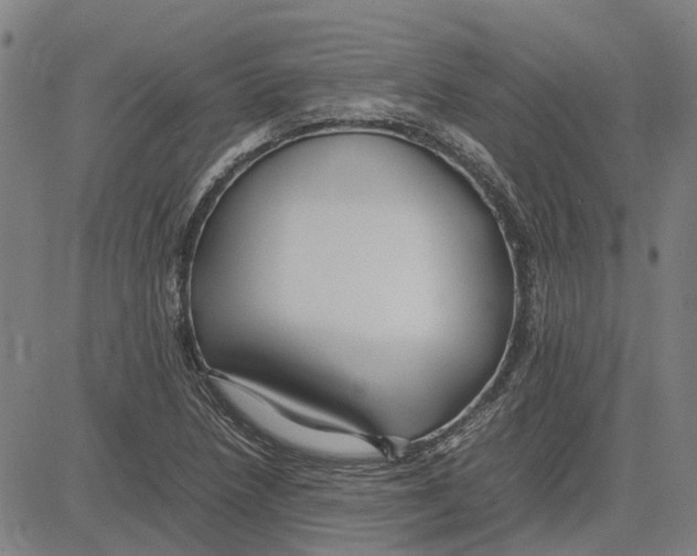 X0000083661218200703121803