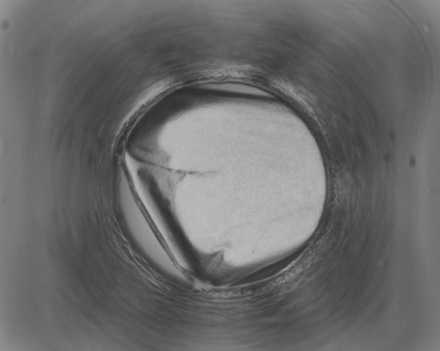 X0000083661219200703121803