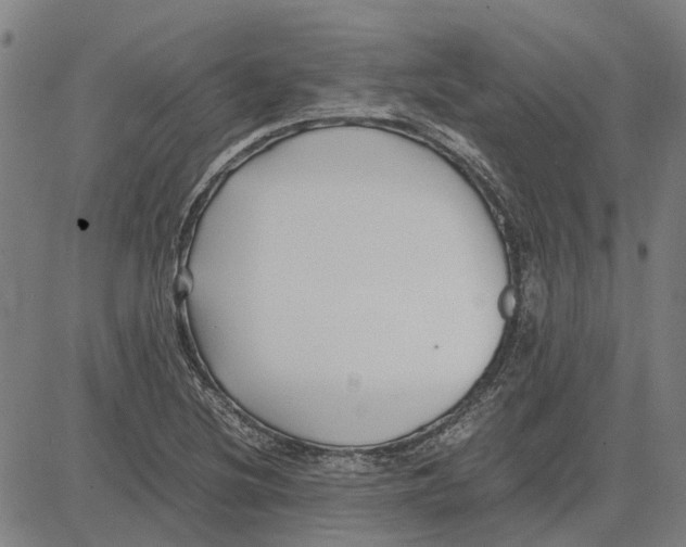 X0000083661220200703121803