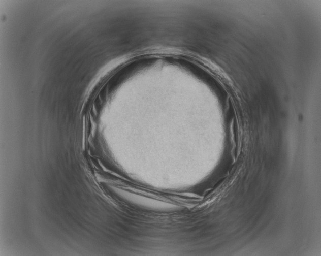 X0000083661223200703121803