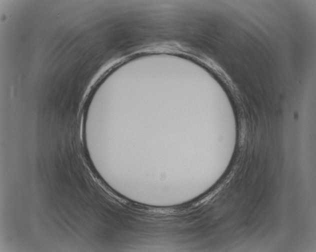 X0000083661224200703121803