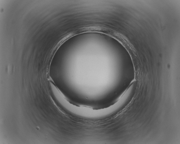 X0000083661225200703121803