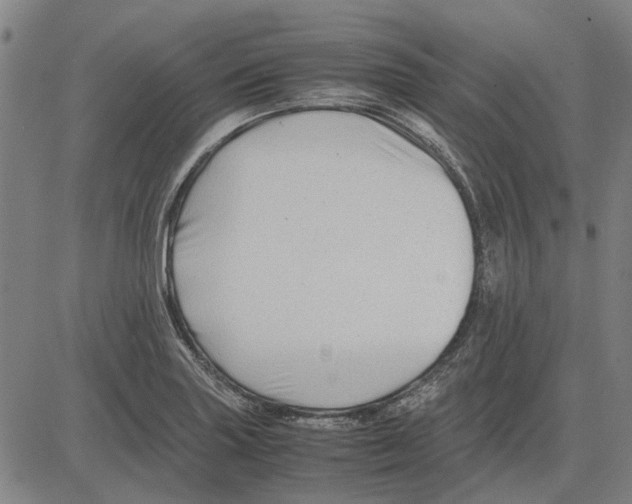 X0000083661227200703121803