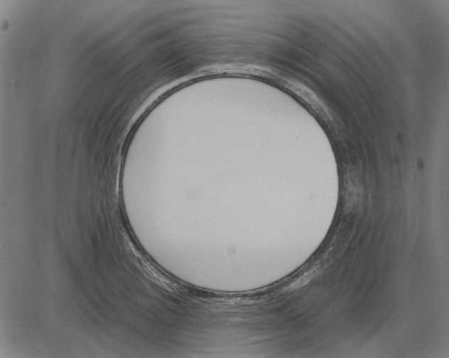 X0000083661228200703121803