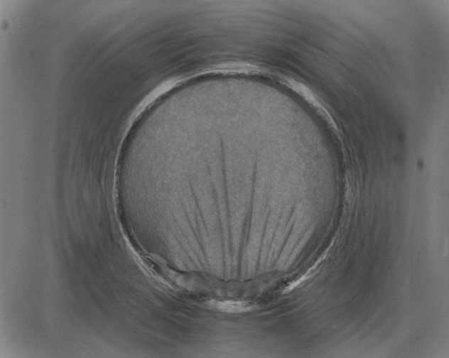 X0000083661229200703121803