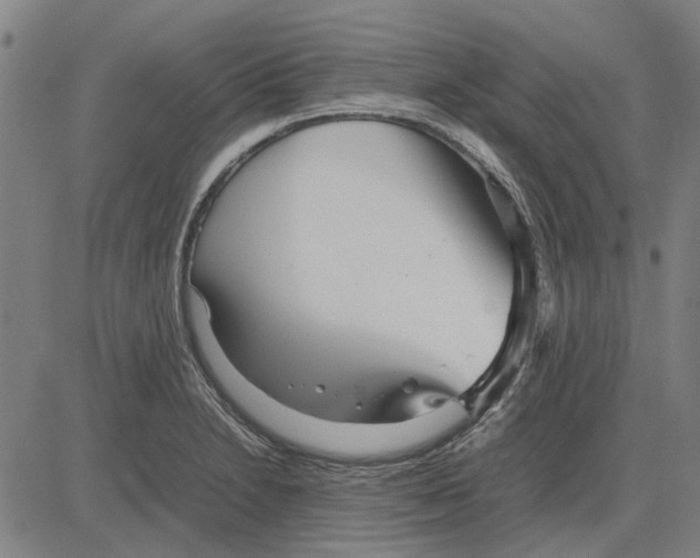 X0000083661230200703121803