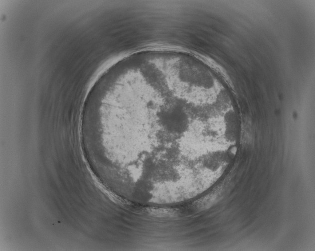 X0000083661231200703121803