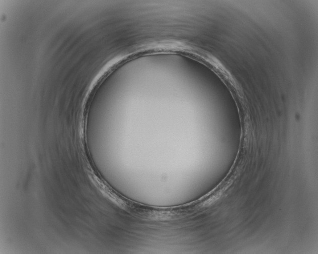 X0000083661232200703121803