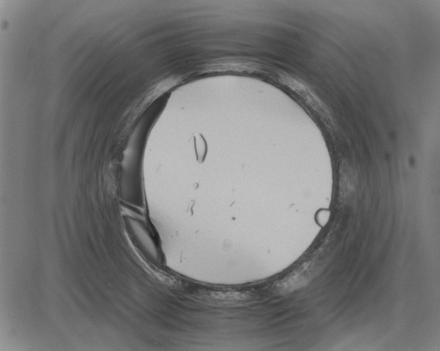 X0000083661233200703121803