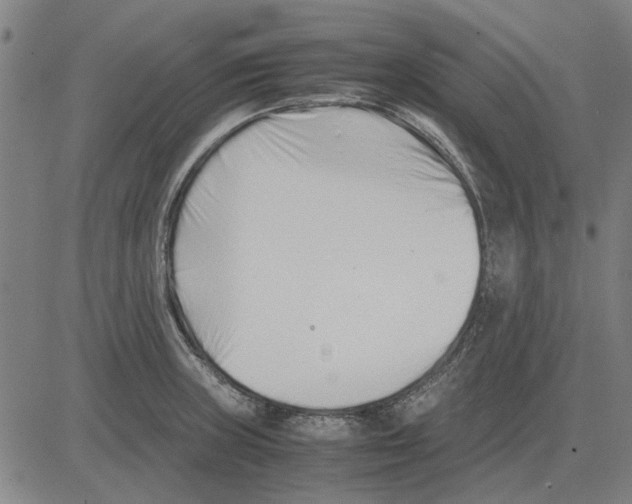 X0000083661235200703121803