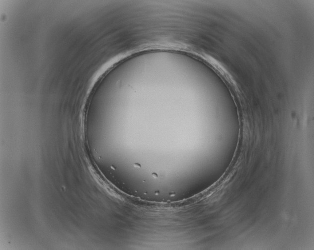 X0000083661238200703121803