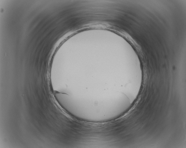 X0000083661240200703121803