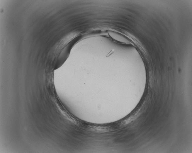 X0000083661241200703121803