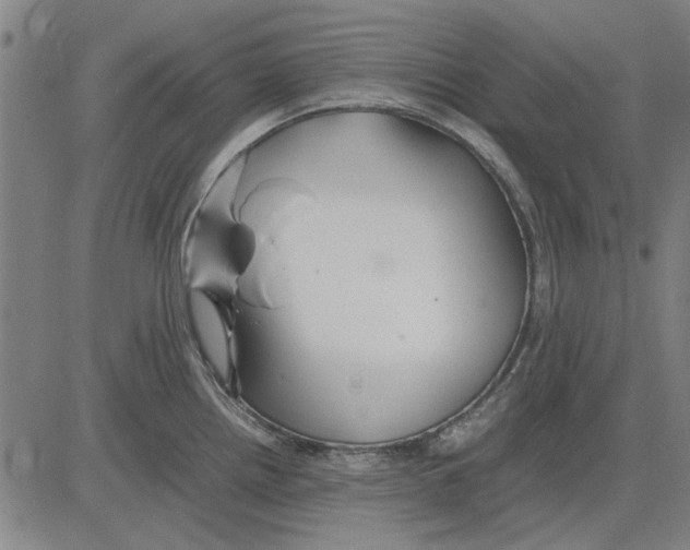 X0000083661242200703121803