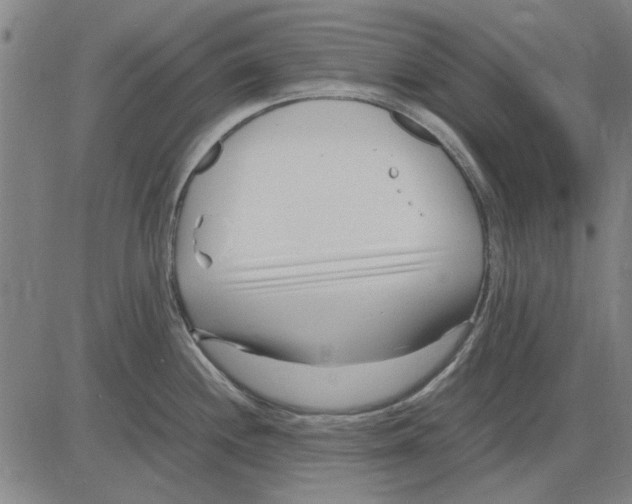 X0000083661244200703121803