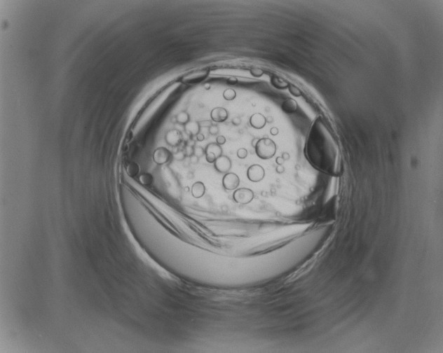 X0000083661247200703121803