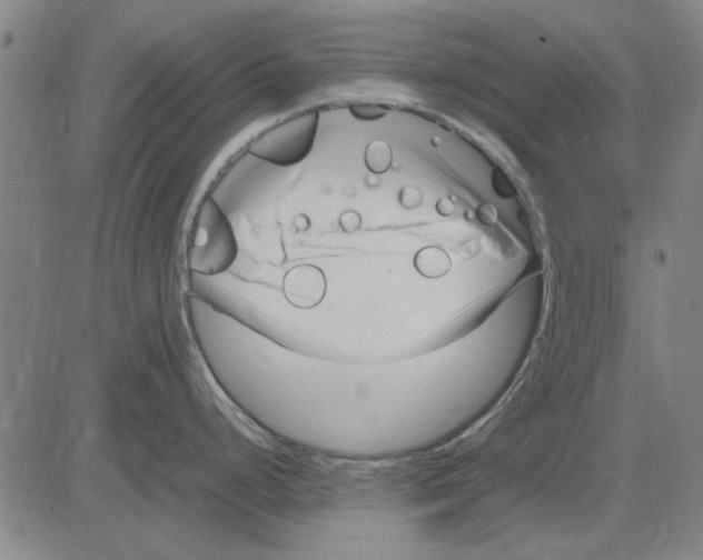 X0000083661248200703121803