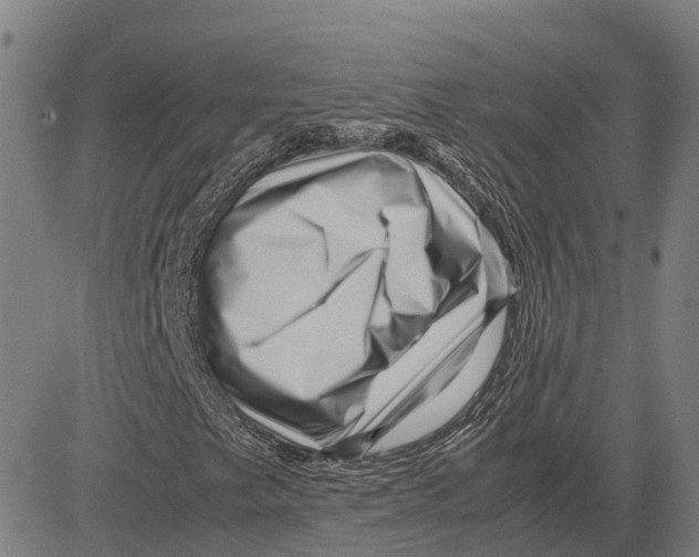 X0000083661249200703121802