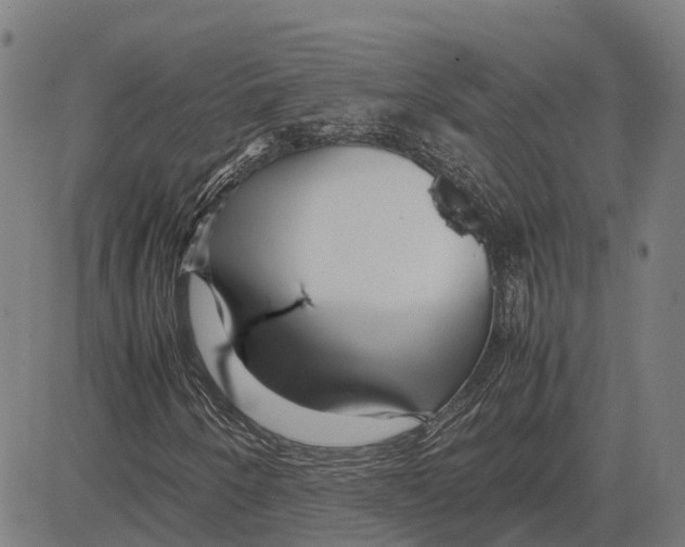 X0000083661250200703121802