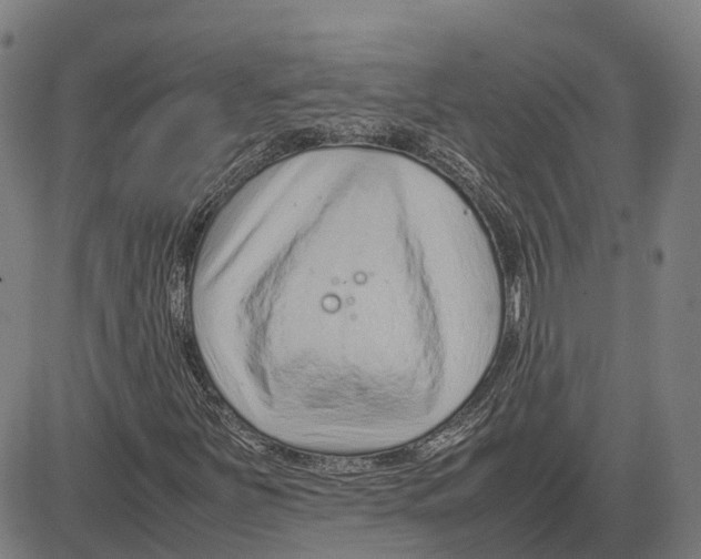 X0000083661251200703121802