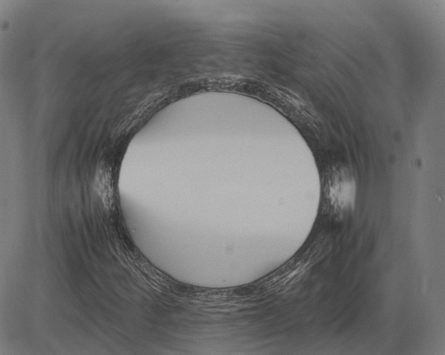 X0000083661252200703121802