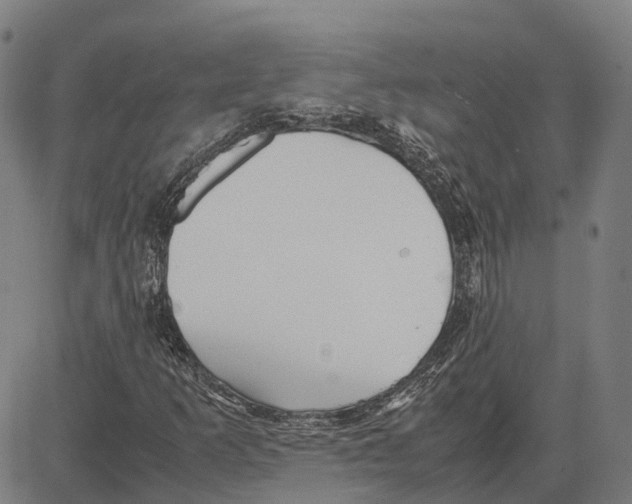 X0000083661253200703121802