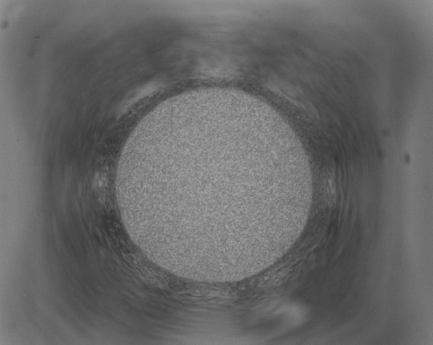 X0000083661254200703121802