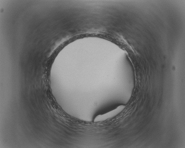 X0000083661256200703121802