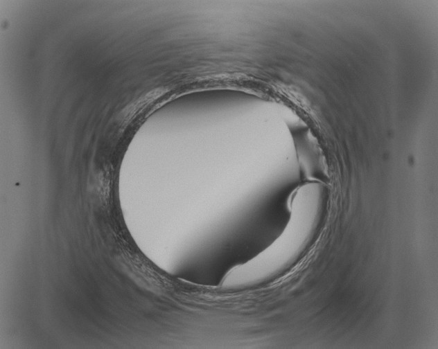 X0000083661257200703121802