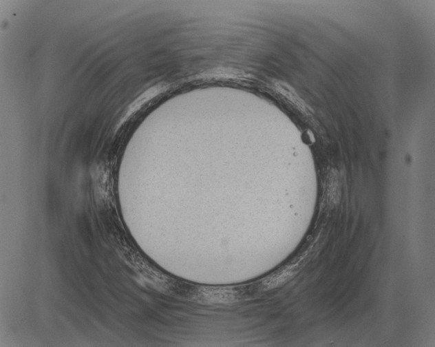 X0000083661258200703121802