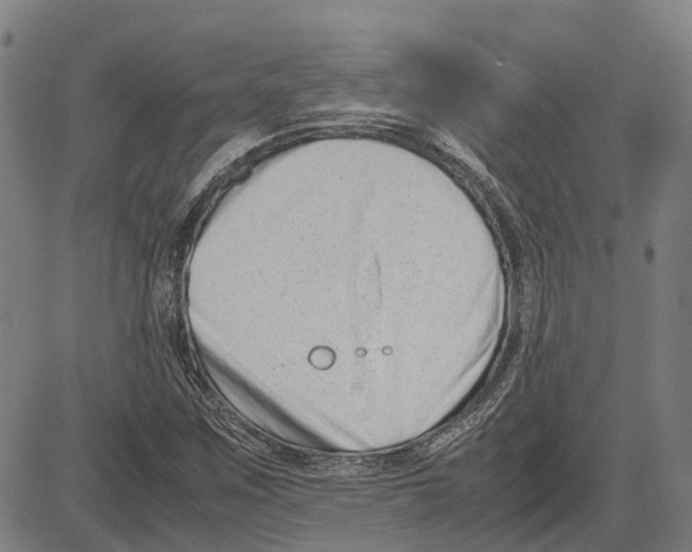 X0000083661259200703121802