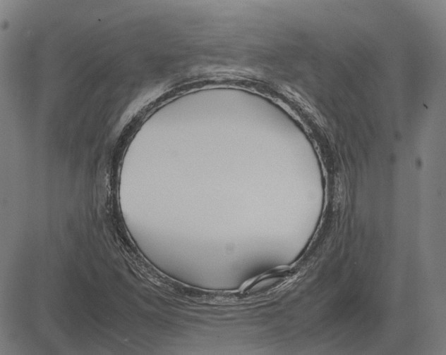 X0000083661261200703121802